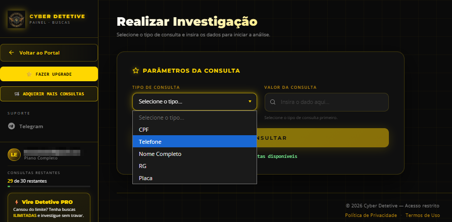 Painel de Buscas do Cyber Detetive com os tipos de consulta
